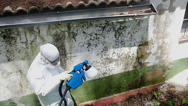 Trusted Mold Testing service in Bentonville, VA - Cheap Mold Removal
